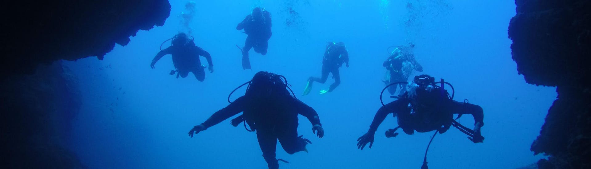 Divers underwater during Guided Dives from Dubrovnik for Certified Divers with Diving Center Blue Planet Dubrovnik.