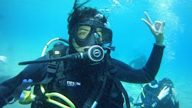 Baptême de plongée à Dubrovnik pour Débutants avec Diving Center Blue Planet Dubrovnik.