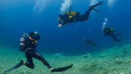 Bautismo de buceo (PADI) en Dubrovnik para principiantes con Diving Center Blue Planet Dubrovnik.