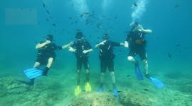 Quatre plongeurs sous la mer pendant leur Formation plongée PADI Discover Scuba à Chania avec Blue Adventures Diving Chania.