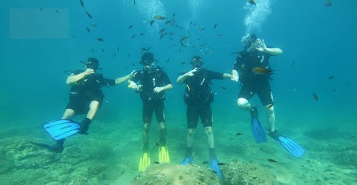 PADI Discover Scuba Diving Schnuppertauchen in Chania Vier Taucher unter Wasser mit Blue Adventures Diving Chania während des PADI Discover Scuba Diving Schnuppertauchen in Chania.