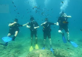 PADI Discover Scuba Diving in Chania with Blue Adventures Diving Chania