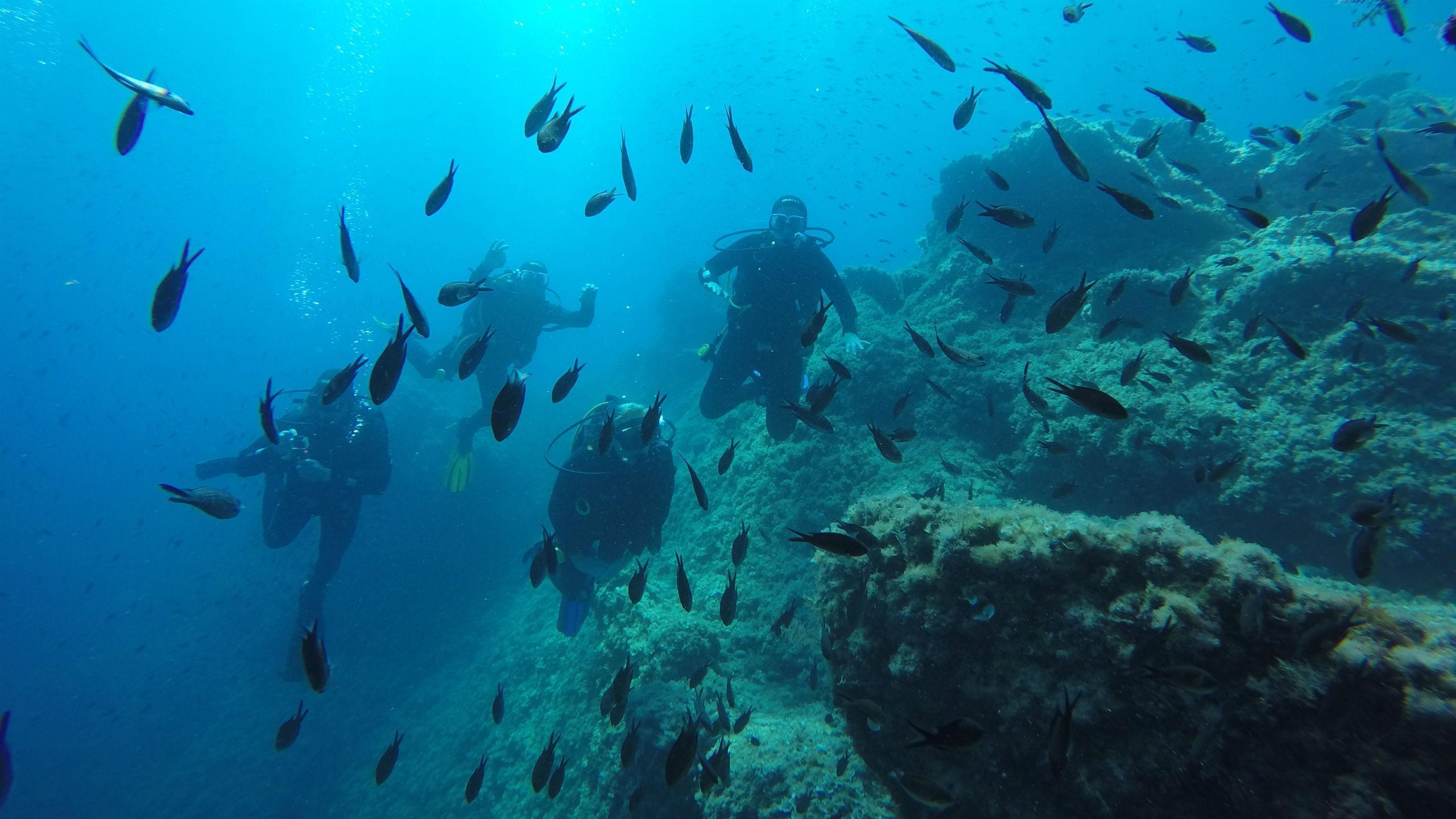 ▷ PADI Open Water Diver Course in Dubrovnik for Beginners from 104 €