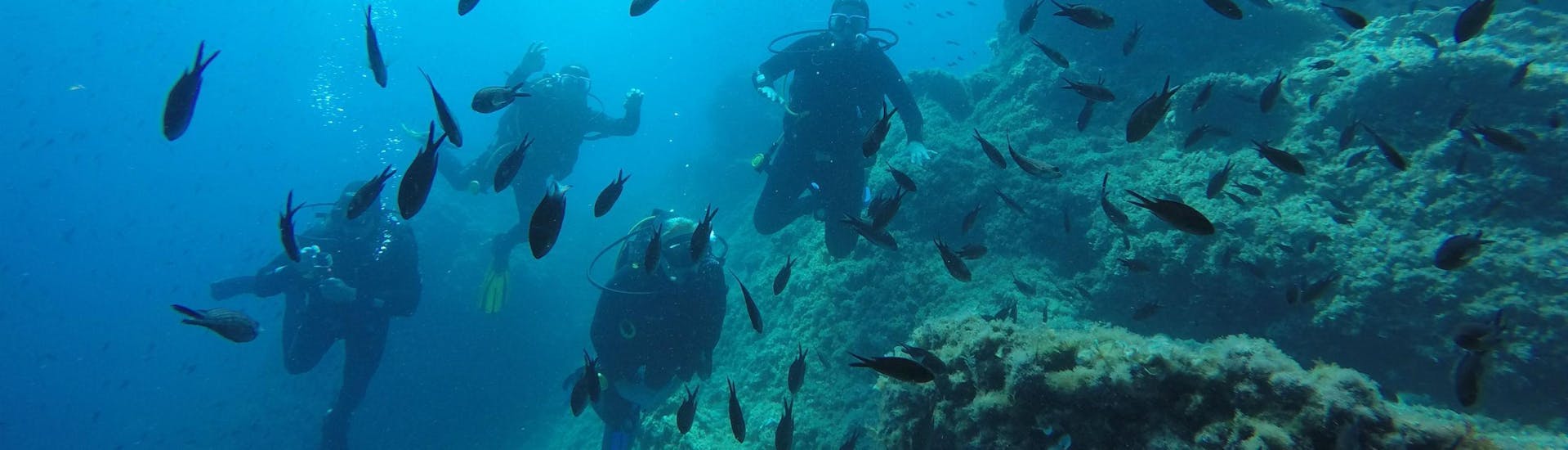 PADI Open Water Diver Tauchkurs in Dubrovnik für Anfänger.