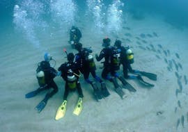 A group of divers under water with Blue Adventures Diving Chania during their PADI Open Water Diver Course in Chania for Beginners.