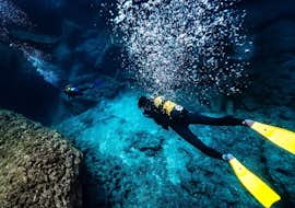 Scuba Duikcursus (PADI) in Chania voor gecertificeerde duikers met Blue Adventures Diving Chania Scuba Duikcursus (PADI) in Chania voor gecertificeerde duikers met Blue Adventures Diving Chania.