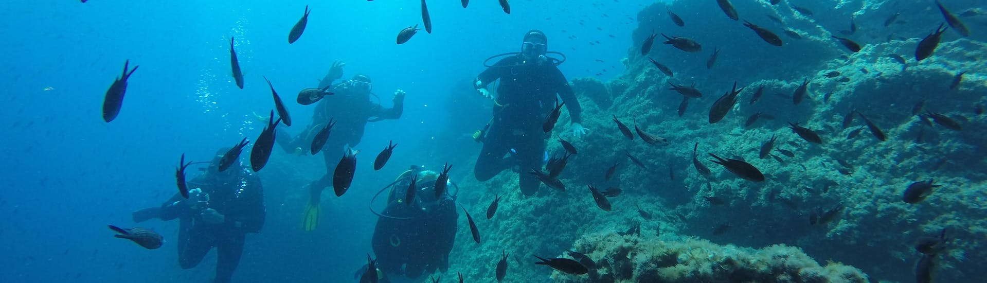 Formation de plongée (PADI) à Dubrovnik pour Plongeurs certifiés.