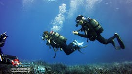 People doing a Trial Scuba Diving for Beginners in Santorini from Santorini Diving Center.