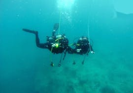 Guided Dives in Madeira	for Certified Divers with Haliotis Madeira