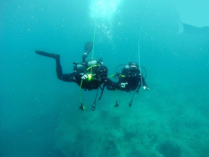 Guided Dives in Madeira for Certified Divers.