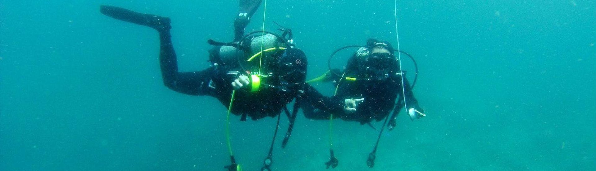 Guided Dives in Madeira	for Certified Divers with Haliotis Madeira - Hero image