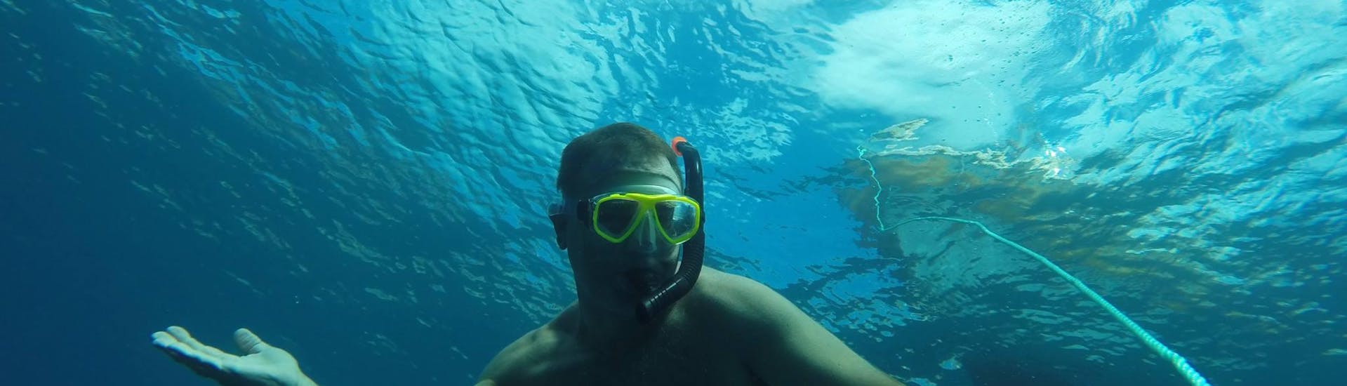 Snorkeling in Madeira	 with Haliotis Madeira - Hero image
