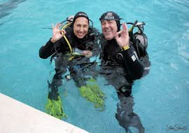 Trial Scuba Diving in Madeira for Beginners from Haliotis Madeira Trial Scuba Diving in Madeira for Beginners from Haliotis Madeira.