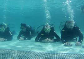PADI Scuba Diver Course in Madeira for Beginners from Haliotis Madeira PADI Scuba Diver Course in Madeira for Beginners from Haliotis Madeira.