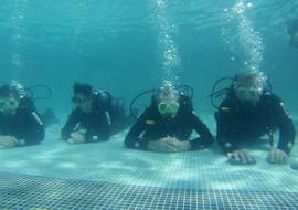 PADI Scuba Diver course in Madeira for Beginners with Haliotis Madeira