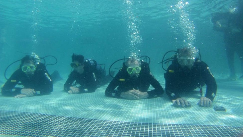 PADI Scuba Diver Course in Madeira for Beginners.