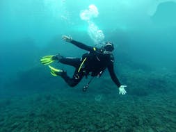 PADI Open Water Diver Course in Madeira for Beginners from Haliotis Madeira.