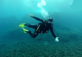PADI Open Water Diver Course in Madeira for Beginners with Haliotis Madeira