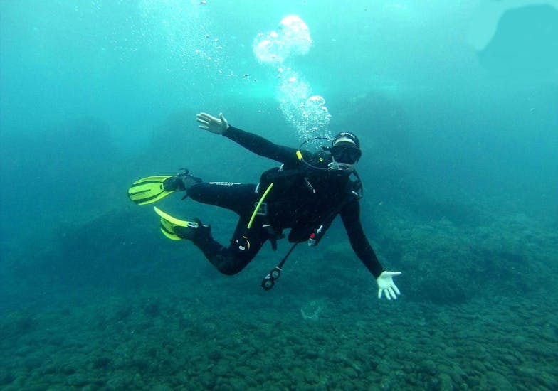 PADI Open Water Diver Course in Madeira for Beginners.