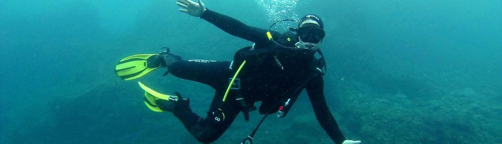 PADI Open Water Diver Course in Madeira for Beginners with Haliotis Madeira - Hero image
