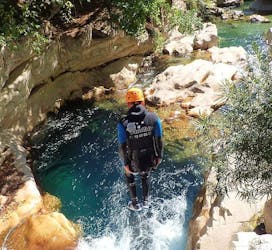 A participant of the River Trekking in Gorges du Loup for Young & Old tour with FunTrip is jumping into a beautiful pool of clear water.