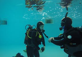 Two divers practicing in a pool during the trial scuba diving course for beginners - Berlengas with Haliotis Peniche.
