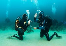 Scuba Diving Course for Beginners - PADI Scuba Diver Haliotis Peniche Two divers waving during the scuba diving course for beginners - PADI Scuba Diver with Haliotis Peniche.