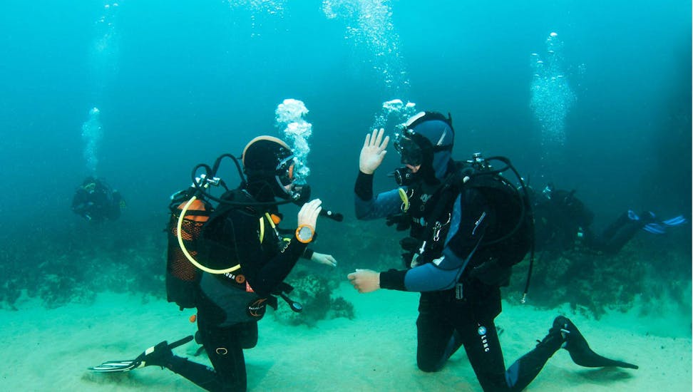 Two divers waving at eachother during the scuba diving course for beginners - PADI Scuba Diver with Haliotis Peniche.