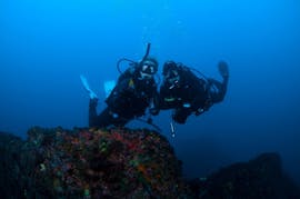 Picture of two divers during the scuba diving course for beginners - PADI Open Water Diver with Haliotis Peniche.