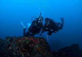 Picture of two divers during the scuba diving course for beginners - PADI Open Water Diver with Haliotis Peniche.