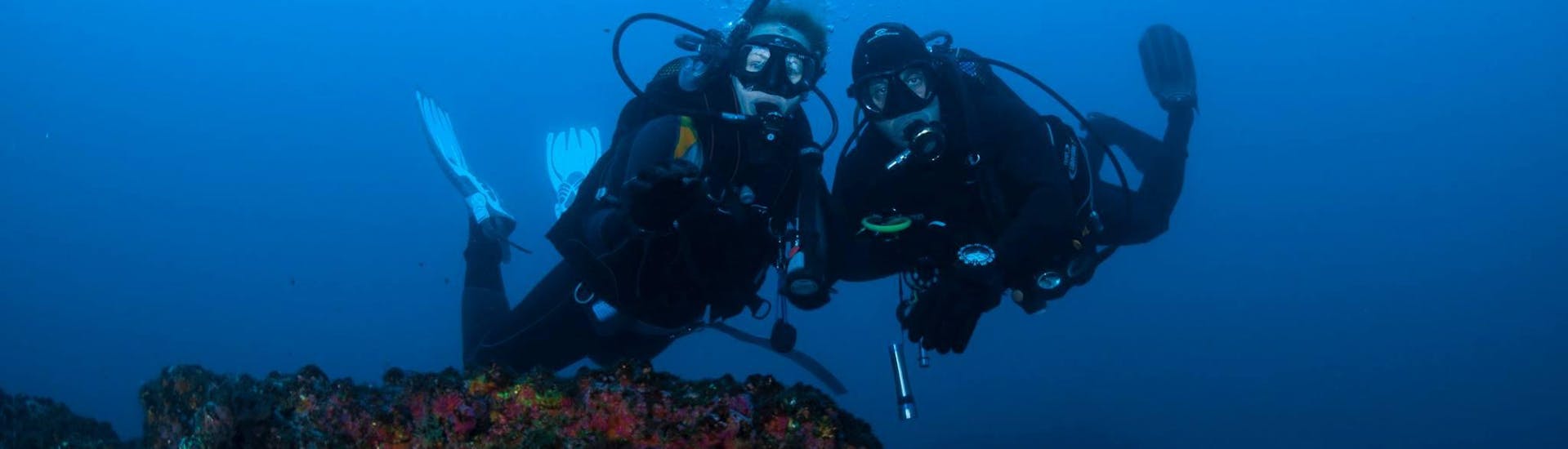 Picture of two divers in action during the scuba diving course for beginners - PADI Open Water Diver with Haliotis Peniche.