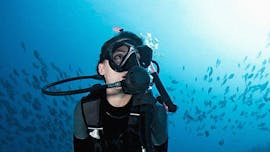 Plongée d'exploration à Kamari pour Plongeurs certifiés avec Navy's Waterworld Dive Center Kamari.