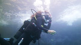 Bautismo de buceo (PADI) en Kamari para principiantes con Navy's Waterworld Dive Center Kamari.