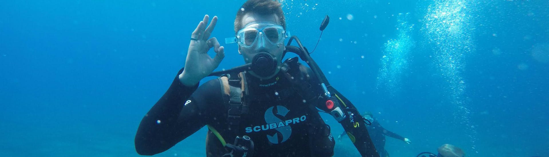 Scuba Diving Course for Beginners - PADI Scuba Diver.