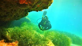 A diver exploring the fascinating underwater world of the Aegean Sea on the Scuba Safari - Guided Dives around Mykonos with an experienced instructor from the Mykonos Diving Center.