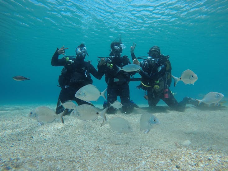 Picture of three divers observing fishes during the Discover Scuba Diving activity at Paradise Beach in Mykonos with Mykonos Diving Center.