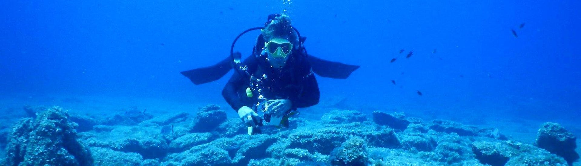 Un plongeur dans les profondeurs de la mer Égée explorant la beauté du monde sous-marin pendant la formation de Scuba Diving Beginners - PADI Open Water Diver à Mykonos avec le Mykonos Diving Center.