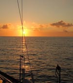 Le bateau navigue vers le soleil levant pendant la Sortie en catamaran au lever du soleil avec des dauphins, organisé par Robinson Boat Trips.