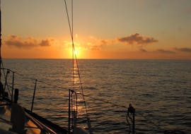 During sunrise a Catamaran trip goes with Dolphin Watching organised by Robinson Boat Trips.