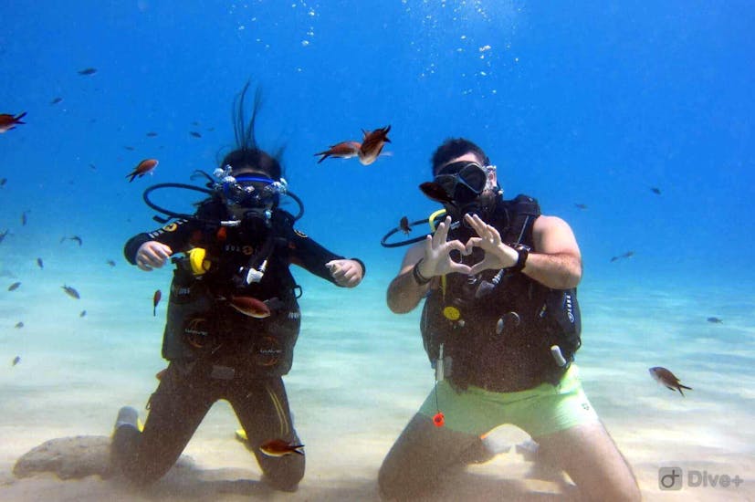 Deux plongeurs profitant de leur première expérience sous l'eau lors de leur cours d'essai de plongée pour débutants - Discover Scuba avec un instructeur expérimenté du centre de plongée Evelin.