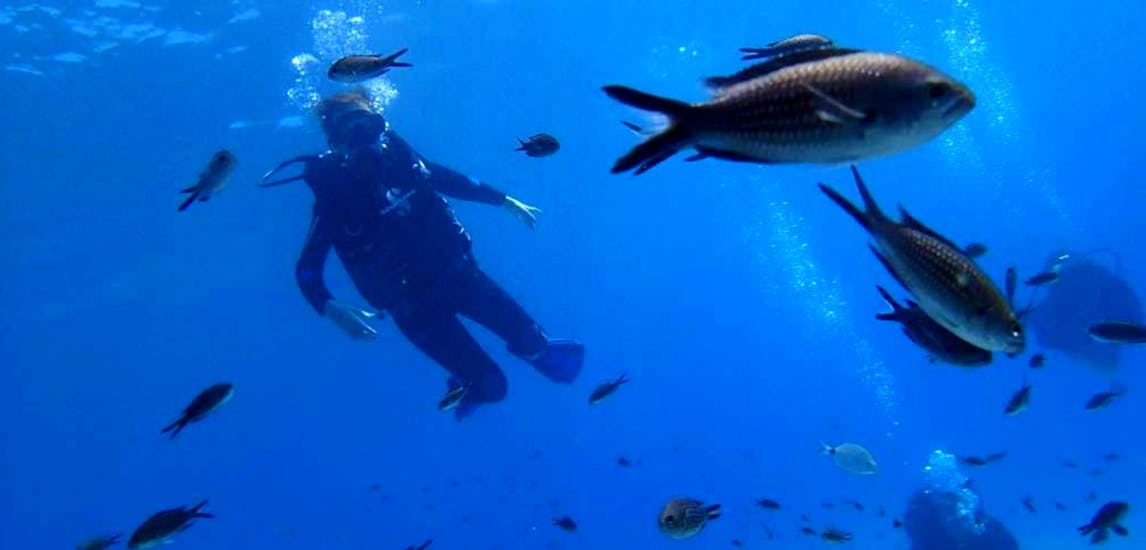 Une femme explorant la fascinante vie sous-marine de la mer de Crète lors de son cours de plongée sous-marine pour débutants - PADI Scuba Diver avec un instructeur expérimenté du centre de plongée Evelin.
