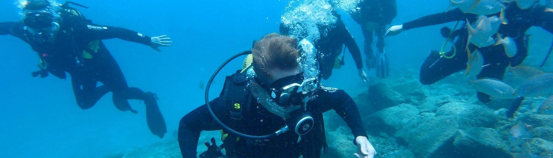 trial-scuba-diving-for-beginners-las-vistas-beach-big-fish-tenerife-hero