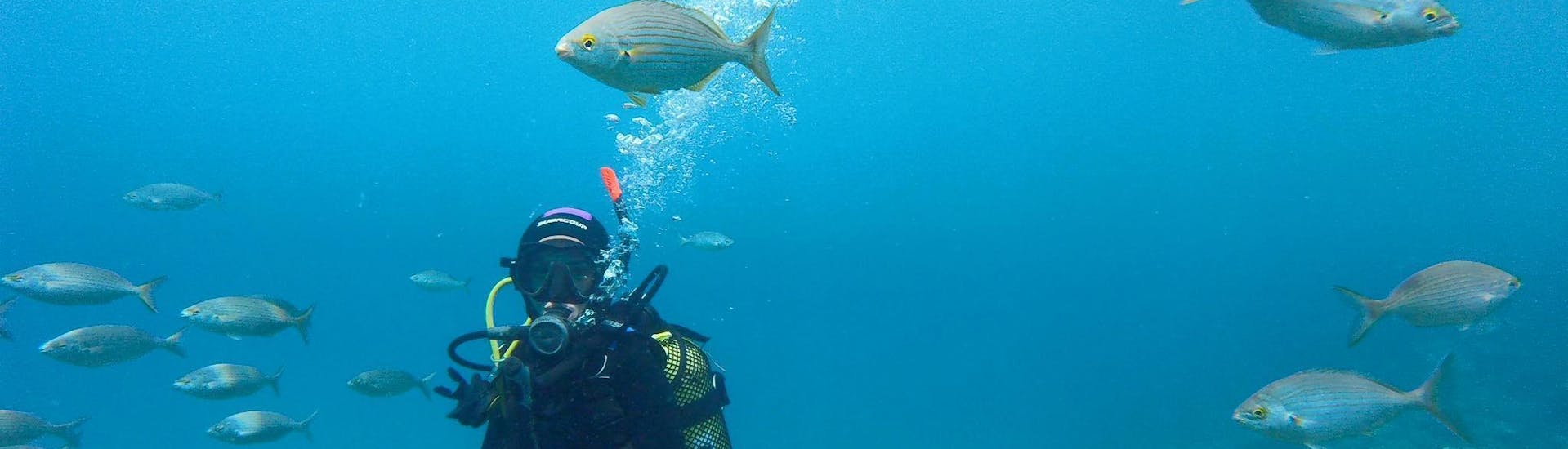 trial-scuba-diving-course-for-beginners-discover-scuba-big-fish-tenerife-hero