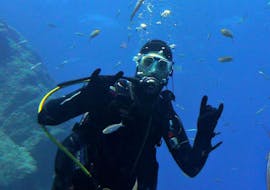 Immersioni di prova a Funchal per principianti con Azul Diving Center.