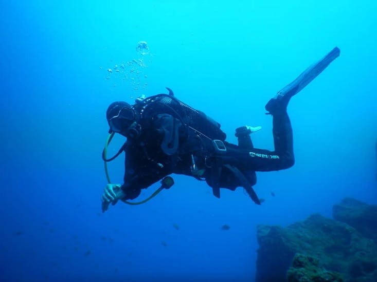 Corso di immersione (SSI) a Funchal per principianti.