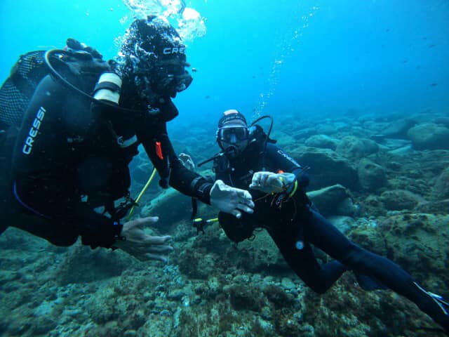A diver goes underwater during a Trial Scuba Diving Course in Fuerteventura with Dive Pro Fuerte.