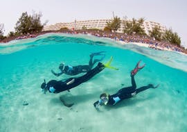Snorkeling - Lanzarote with Native Diving Lanzarote