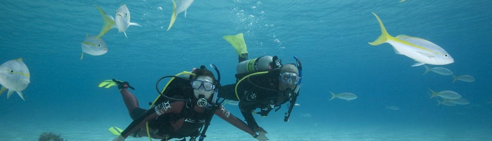 Scuba Duikcursus (PADI) voor gecertificeerde duikers met Blue Water Diving Gran Canaria - Hero image