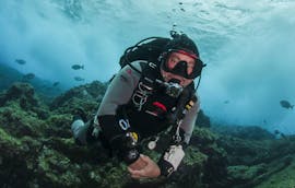 Picture of a diver during the discover Scuba Diving in Faial with Haliotis Faial.