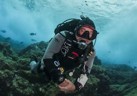 Discover Scuba Diving in Faial with Haliotis Faial